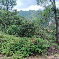 2礦同出！260萬(wàn)方/年！廣東砂石大礦掛牌出讓