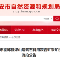 起始價(jià)8億元！安徽一建筑石料用灰巖礦無(wú)人報價(jià)流拍